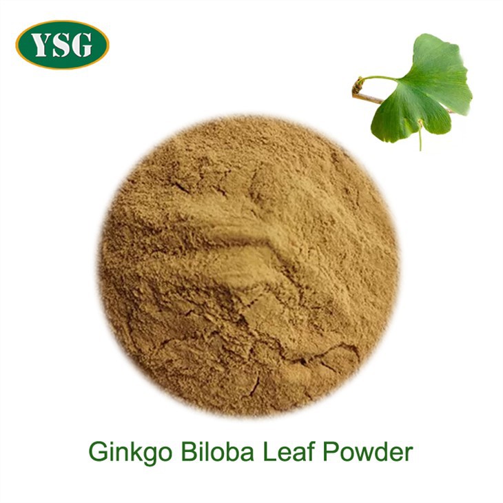 Pulbere de frunze de Ginkgo Biloba